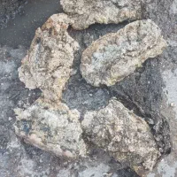 خدمات لوله بازکنی منصف کوهدشت وحومه شبانه روزی