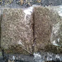 آویشن. خاکشیر