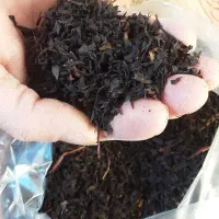 چای قلم لیزری درجه 1