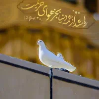 تورمشهد از سیرجان ویژه مهر