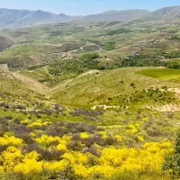 باغ بیست ساله