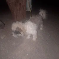 قیمت 25000000