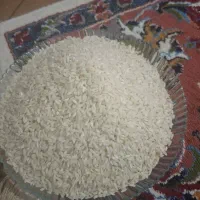 برنج چمپا