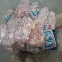 اسکلت مرغ