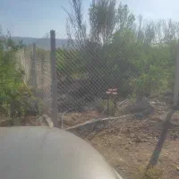 باغ ، باغ انار