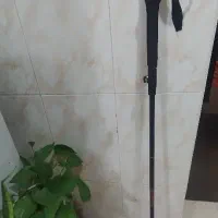 عصای کوهنوردی