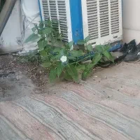 کولرخراب