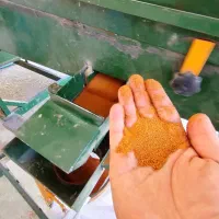 خاکشیر شوورن