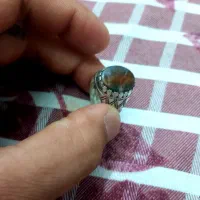 انگشتر شجر دریایی