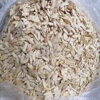 بذر خیار ps|خدمات باغبانی و درختکاری|کیار, |دیوار