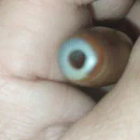 لول سلیمانی کهنه و جفت مهره سلیمانی بدونه سوراخ