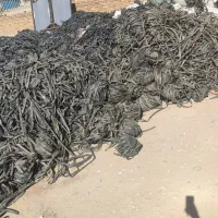 خریده  فروش نوار قطریی نوار تیپ به بالا ترین قیمت