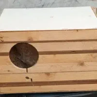 لونه پرنده