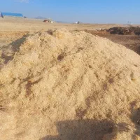 کاه کمپاین کوچه وبزرگ