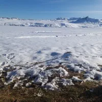 زمین-کشاورزی