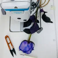 چرخکار و زیگرال زن ماهر