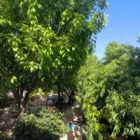 باغ-میانرود-پیربنو