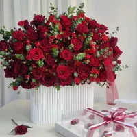 باکس گل و دسته گل (قیمت بگیرو مقایسه کن )