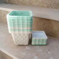 گلدان