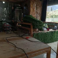 تخت|کافی‌شاپ و رستوران|ایلام, |دیوار