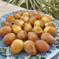 برحی|خوردنی و آشامیدنی|یزد, |دیوار