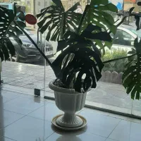 اجاره