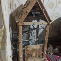 عروس هلندی و قفس چوبی شیک