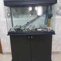 آکواریوم با کلیه لوازم