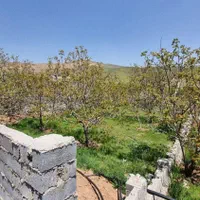 3100 متر زمین در پورزند
