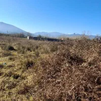 ۲۳۲مترزمین داخل طرح مسکونی با سند*املاک آنلاین*