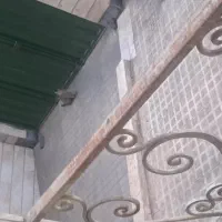 همخونه-خانم
