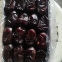 رطب