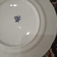 بشقاب گل قرمزی