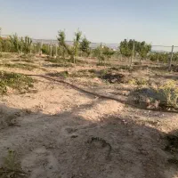 باغ فروشی
