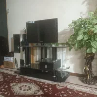 تلویزیون