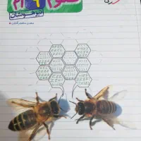 علوم تیزهوشان نهم