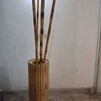گلدان چولی با بامبو