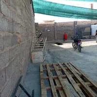 اتو کارواش