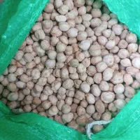 حبوبات خانم گلی