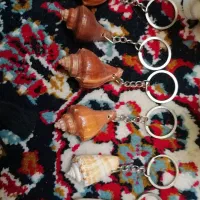اکواریوم