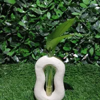 گلدون به همراه گل