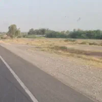 زمین کنارترش