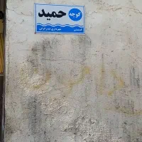 زمین ۲۵۰متری  سند تک برگ