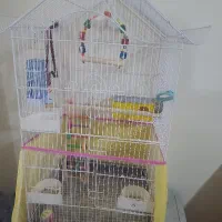 قفس پرنده
