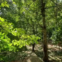 باغچه 250 متری در سولقان