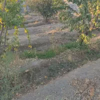 باغ نزدیک جاده اصلی سند داره