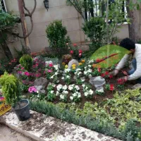خدمات باغبانی.وباغچه.کاری