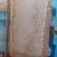 عسل مناسب باکیفیت