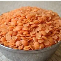 عدس قرمز یا دال عدس