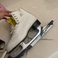 اسکیت پاتیناژ